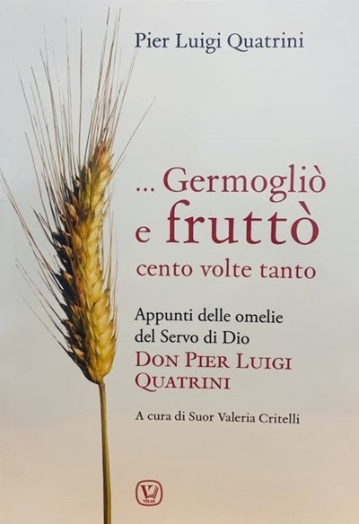 Un libro di riflessioni di Don Pierluigi Quatrini
